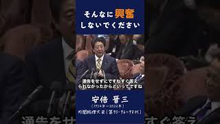 【そんなに興奮しないでください】quot安倍総理の冷静なメッセージ：興奮しないでください 安倍総理政治リーダーシップ冷静な判断安定性国民へのメッセージ安倍政権 [upl. by Noby]