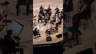 Handpan Concerto  Elbphilharmonie [upl. by Yenreit491]