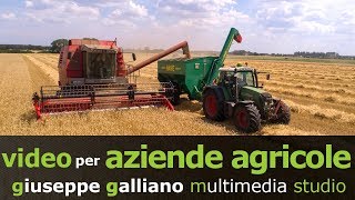 Video Aziende Agricole  produzione video promozionali aziende agricole galliano 2018 [upl. by Anahsor]