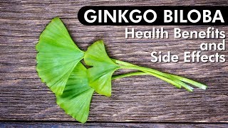 Ginkgo Biloba Review of Benefits amp Side Effects [upl. by Claus]