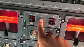 Embraer Legacy 600 APU Start Procedure [upl. by Oicnoel875]