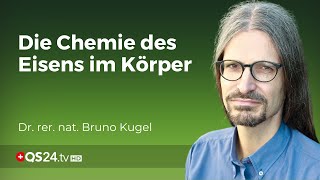 Chemische Komplexität im Körper Dr Bruno Kugel enthüllt die Wahrheit über Eisenmangel  QS24 [upl. by Polito]