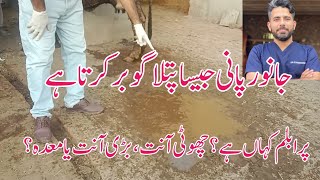 Diarrhea in cattle reason small intestine or large intestine  Dr Furqan Basheer [upl. by Llerryt220]