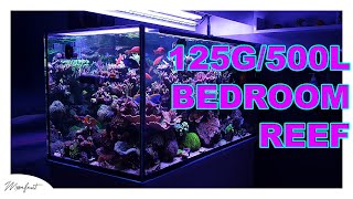 125G BEDROOM CORAL REEF TANK  MOONFRUITS 500L AQUARIUM [upl. by Anerev506]