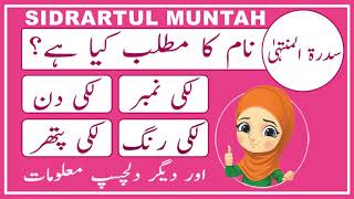 Sidratul Muntaha Name Meaning in Urdu  Sidratul Muntaha Name Meaning  Amal Info TV [upl. by Trula]