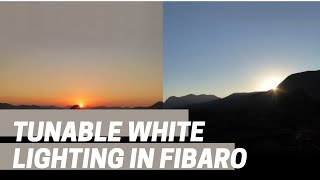 FIBARO How to create Tunable White Light  Lua Virtual Device [upl. by Aidan490]