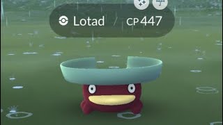 SHINY 270  LOTAD ✨ Duck [upl. by Witha]