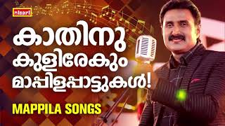 MAPPILA SONGS  Malayalam Mappila Songs  Nisari Mappila Pattukal  Pazhayamappila Songs [upl. by Gastineau622]