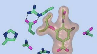 Mechanism of Resistance to Oseltamivir [upl. by Miculek]