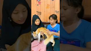 Nama Kucing Kalian Siapa comedy funny komedi comedyngakak comedylucu lucu comedykocak [upl. by Htenaj549]