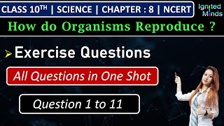 Class 10th Science Chapter 8  Exercise Questions 1 to 11  How do Organisms Reproduce [upl. by Nalda433]