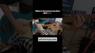 Diliberto Rosewood Jazz Bass Review [upl. by Bilac]