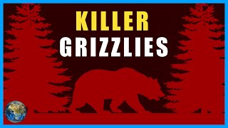 The Grizzly Bear Attacks of 1967 [upl. by Meeks883]