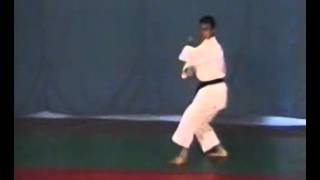 Luca Valdesi Heian Shodan [upl. by Coats959]