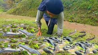 Farmers life from the hills of Nagalandnagalocalproduction [upl. by Dranyer]