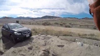 Subaru XV Crosstrek Off roading With FJs and Rubicon in Hungry Valley [upl. by Yetac963]