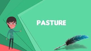 What is Pasture Explain Pasture Define Pasture Meaning of Pasture [upl. by Acino223]