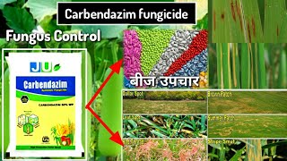 Carbendazim fungicide fungal Control सबसे Best fungicide fungus control Agriculture [upl. by Berriman]