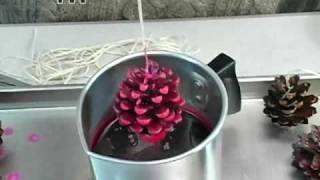 How to Pine Cone Fire Starters [upl. by Elon]