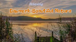 DenmarkBeautiful Nature [upl. by Araiet]