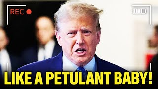 Trump EXPLODES as Things GO BAD at Trial [upl. by Nerreg]