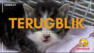 DierenLot terugblik 2023 [upl. by Brindle]