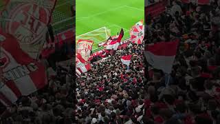 Wir schreien euch heute nach vorndie ganze Kurve im Chor 🔴⚪️ ultras bundesliga effzeh fussball [upl. by Oel]