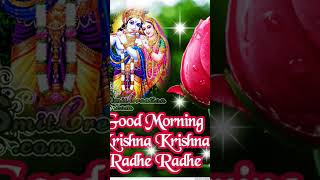 Vrindavan ka Krishna Kanhaiya song music love बागेश्वरधामlive newmusicrelease voiceeffects [upl. by Annabel]