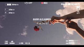 Rauw Alejandro  Todo De Ti  slowed amp reverb [upl. by Natelson448]