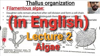 Algae Lecture 2  Thallus Organisation [upl. by Adnalahs]