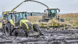 JOHN DEERE Traktoren im Schlamm  Schlammschlacht  Maishäckseln  Claas Jaguar  Fendt Traktoren [upl. by Tully]