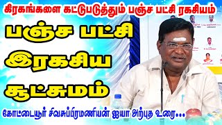 கிரகங்களை கட்டுப்படுத்தும் பஞ்ச பட்சி A TO Z ரகசியம்  ரகசியம் உடைக்கும் ஜோதிடர்  ONLINE ASTRO TV [upl. by Morocco579]