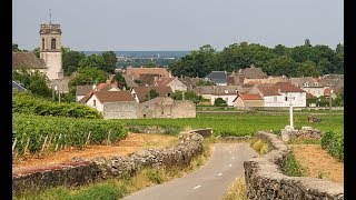 Places to see in  Beaune  France  Pommard [upl. by Thgirw]