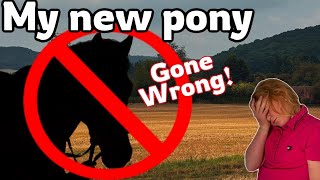 My New Pony GONE WRONG [upl. by Dusty]