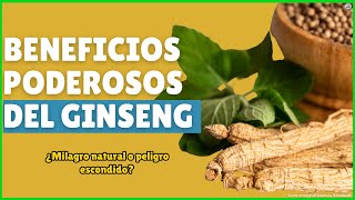 Ginseng la raíz milagrosa que mejora tu vida Conoce todos sus Beneficios y Propiedades y Usos [upl. by Asfah]