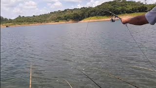 PESCAMOS E ALMOÇAMOS NA BEIRA DO RIO QUEBRAZOLpesca [upl. by Ellinger193]