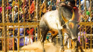 Jallikattu 2018  Kallakudi [upl. by Juliano353]