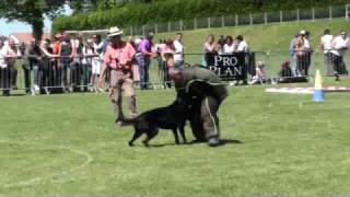 Beauceron Nationale d Elevage 2009 Ring 3 5 partie [upl. by Dodi223]