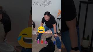 I never stopped laughing  Hanging Chopstick Challenge pt2 fungames partygames familyfun [upl. by Notyalc621]