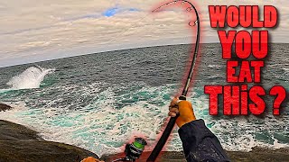 3 DAYs Cliff Fishing and Camping Only Eating What I Catch Part 2 [upl. by Nisior]