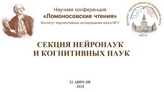 Научная конференция quotЛомоносовские чтенияquot секция нейронаук и когнитивных наук [upl. by Zosi624]