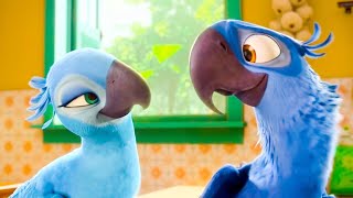 Real In Rio Scene  RIO 2011 Movie CLIP HD [upl. by Eeimaj336]