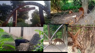 Visited Nagaland Zoological Park Dimapurwatch it till the end [upl. by Kreegar]