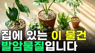 집에 있는 이거 당장 버리세요 집을 오염시켜 만성염증 암유발 하는 발암물질 입니다 [upl. by Agni]