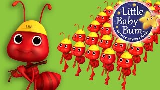 Ants Go Marching  Nursery Rhymes for Babies by LittleBabyBum  ABCs and 123s [upl. by Yasnyl632]