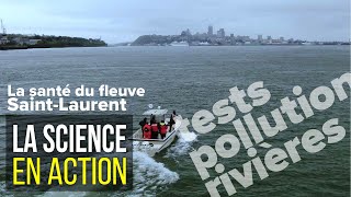 Étudier la qualité de l’eau du fleuve SaintLaurent  La science en action [upl. by Kciderf9]