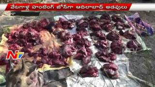 Adilabad Forest Turns As Hunting Zones [upl. by Asiela987]