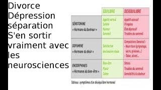 séparation  sortir de la déprime sérotonine la solution  24 [upl. by Aisnetroh]