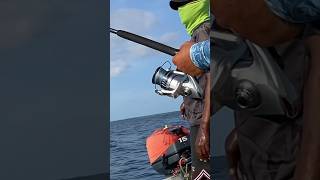 Yellowfin tuna Zanzibar fishing charters [upl. by Terza524]