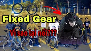 Fixed Gear  Tại sao lại nổi như vậy [upl. by Flowers]